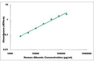 Representative Standard Curve