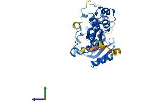 Protein Structure (PS) image for Ribonuclease H2, Subunit A (RNASEH2A) (AA 1-301) protein (His tag) (ABIN7560696)