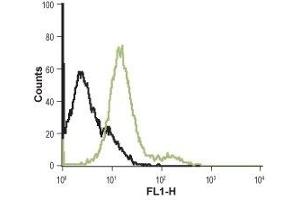 Flow Cytometry (FACS) image for anti-Adrenergic, alpha-1B-, Receptor (ADRA1B) (AA 21-35), (Extracellular) antibody (Atto 488) (ABIN7042898)