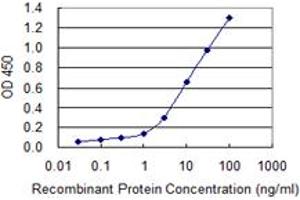 Detection limit for recombinant GST tagged TNFSF13B is 0. (BAFF antibody  (AA 1-285))