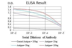 Black line: Control Antigen (100 ng), Purple line: Antigen(10 ng), Blue line: Antigen (50 ng), Red line: Antigen (100 ng), (PPP2R4 antibody)