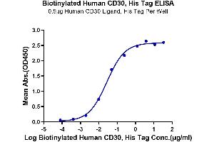 Immobilized Human CD30 Ligand, His Tag at 5 μg/mL (100 μL/well) on the plate. (TNFRSF8 Protein (AA 19-379) (His-Avi Tag,Biotin))