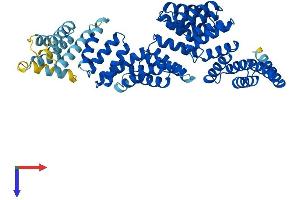 Protein Structure (PS) image for Tetratricopeptide Repeat Domain 6 (TTC6) (AA 1-520) protein (His tag) (ABIN7544853)