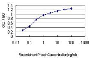 Detection limit for recombinant GST tagged SNCAIP is approximately 0. (SNCAIP antibody  (AA 206-309))