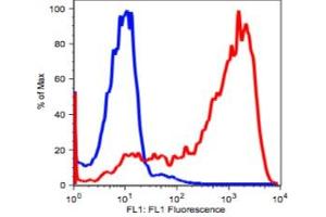 Image no. 2 for anti-CD7 (CD7) antibody (ABIN2704318) (CD7 antibody)