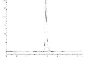 The purity of Human TEM7R is greater than 95 % as determined by SEC-HPLC.