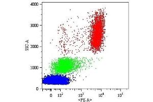 Surface staining of human peripheral blood cells with anti-human CD16 (MEM-154) PE. (CD16 antibody)