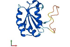 Protein Structure (PS) image for Thioredoxin Domain Containing 8 (Spermatozoa) (TXNDC8) (AA 1-127) protein (His tag) (ABIN7544913)
