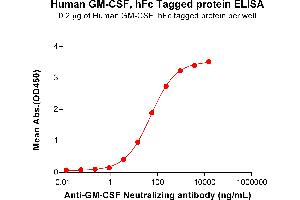 Colony Stimulating Factor 2 (Granulocyte-Macrophage) (CSF2) (AA 18-144) protein (Fc Tag)