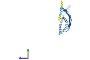 AlphaFold protein structure predicition of Mouse Recombinant Haus1 Protein, UniprotID Q8BHX1