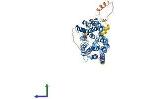 AlphaFold protein structure predicition of Human Recombinant SLC16A1 Protein, UniprotID P53985