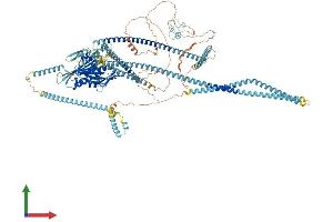 AlphaFold protein structure predicition of Human Recombinant KIF4A Protein, UniprotID O95239 (KIF4A Protein (AA 1-1232) (His tag))
