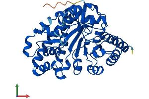 AlphaFold protein structure predicition of Mouse Recombinant Urod Protein, UniprotID P70697