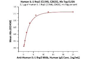 Immobilized Human IL-1 Rrp2 (C154S, C262S), His Tag (ABIN6973102) at 1 μg/mL (100 μL/well) can bind A IL-1 Rrp2 MAb, Human IgG with a linear range of 0. (IL1RL2 Protein (AA 20-335) (His tag))