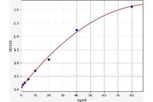 Typical standard curve (FBLN3 ELISA Kit)