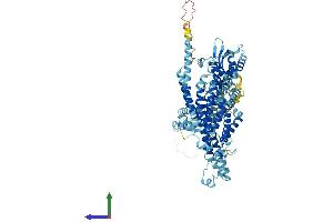 AlphaFold protein structure predicition of Human Recombinant ATP6V0A4 Protein, UniprotID Q9HBG4 (ATP6V0A4 Protein (AA 1-840) (His tag))