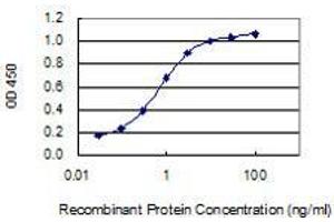 Detection limit for recombinant GST tagged CD302 is 0. (DCL1 antibody  (AA 1-170))