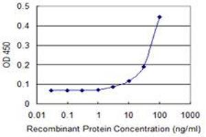 Detection limit for recombinant GST tagged GSTT1 is 3 ng/ml as a capture antibody. (GSTT1 antibody  (AA 1-240))