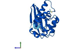 Protein Structure (PS) image for TP53RK Binding Protein (TPRKB) (AA 1-175) protein (His tag) (ABIN7544709)