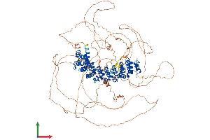 AlphaFold protein structure predicition of Human Recombinant PUM2 Protein, UniprotID Q8TB72 (PUM2 Protein (AA 1-1066) (His tag))