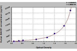 Typical Standard Curve (BACE1 ELISA Kit)