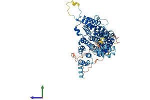 AlphaFold protein structure predicition of Human Recombinant SLC13A3 Protein, UniprotID Q8WWT9 (SLC13A3 Protein (AA 1-602) (His tag))
