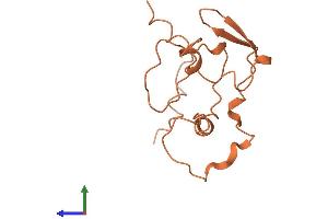AlphaFold protein structure predicition of Human Recombinant LINC01600 Protein, UniprotID Q96MT4 (C6ORF195 Protein (AA 1-127) (His tag))