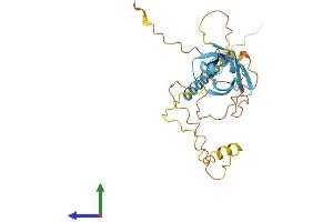 Protein Structure (PS) image for Nuclear Receptor Interacting Protein 2 (NRIP2) (AA 1-270) protein (His tag) (ABIN7561516)
