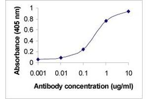 ELISA image for anti-Apolipoprotein B (APOB) (full length) antibody (ABIN2467773) (APOB antibody  (full length))