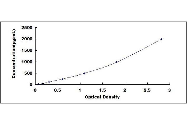 WNT7A ELISA Kit