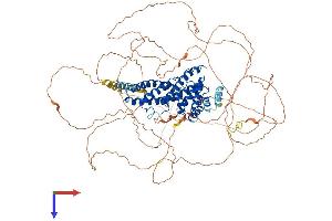 Synaptosomal-Associated Protein 91 (SNAP91) (AA 1-907) protein (His tag)