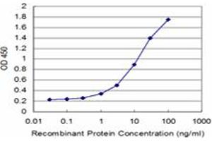 Detection limit for recombinant GST tagged DCK is approximately 0. (DCK antibody  (AA 161-260))