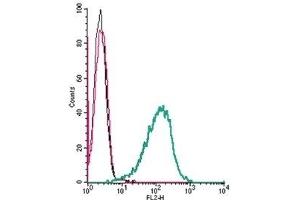 Cell surface detection of Adenosine A2A Receptor by direct flow cytometry in live intact mouse P815 mast cells: (black line) Cells. (Adenosine A2a Receptor antibody  (Extracellular) (PE))