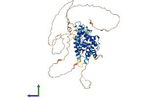 AlphaFold protein structure predicition of Mouse Recombinant Nr4a1 Protein, UniprotID P12813 (NR4A1 Protein (AA 1-601) (His tag))