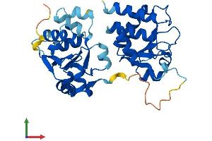 AlphaFold protein structure predicition of Mouse Recombinant Dusp2 Protein, UniprotID Q05922 (DUSP2 Protein (AA 1-318) (His tag))