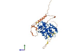 Protein Structure (PS) image for Cyclin A2 (CCNA2) (AA 1-432) protein (His tag) (ABIN7553260)