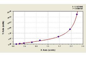 Image no. 1 for Hepatitis A Virus Cellular Receptor 1 (HAVCR1) ELISA Kit (ABIN366552) (HAVCR1 ELISA Kit)