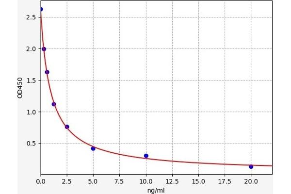 MT-RNR2-Like 6 (MTRNR2L6) ELISA Kit
