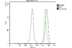 Flow Cytometry analysis of JK cells using anti-Citrin/SLC25A13 antibody (ABIN7599512). (slc25a13 antibody  (AA 1-643))