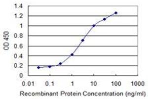 Detection limit for recombinant GST tagged TNFRSF25 is 0. (DR3/LARD antibody  (AA 28-124))