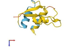 Deleted in Lymphocytic Leukemia 1 (Non-Protein Coding) (DLEU1) (AA 1-78) protein (Fc Tag)