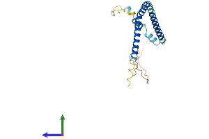 AlphaFold protein structure predicition of Human Recombinant TMEM239 Protein, UniprotID Q8WW34 (TMEM239 Protein (AA 1-195) (His tag))