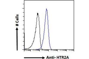 ABIN263202 Flow cytometric analysis of paraformaldehyde fixed A549 cells (blue line), permeabilized with 0.