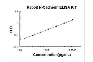 Rabbit Cadherin-2/N-Cadherin PicoKine ELISA Kit standard curve