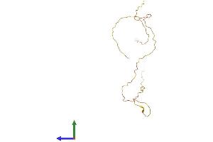AlphaFold protein structure predicition of Human Recombinant KRTAP13-1 Protein, UniprotID Q8IUC0 (KRTAP13-1/KAP13.1 Protein (AA 1-172) (His tag))