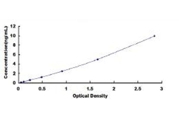 CLMP ELISA Kit