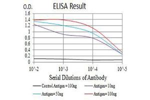 Black line: Control Antigen (100 ng),Purple line: Antigen (10 ng), Blue line: Antigen (50 ng), Red line:Antigen (100 ng) (GRM8 antibody  (AA 440-583))