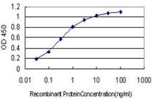 Detection limit for recombinant GST tagged SNAP23 is approximately 0. (SNAP23 antibody  (AA 1-211))