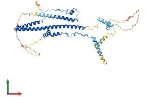 AlphaFold protein structure predicition of Human Recombinant TADA3 Protein, UniprotID O75528 (TADA3L Protein (AA 1-432) (His tag))