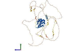 Protein Structure (PS) image for Mitochondrial Antiviral Signaling Protein (MAVS) (AA 1-503) protein (His tag) (ABIN7564730)